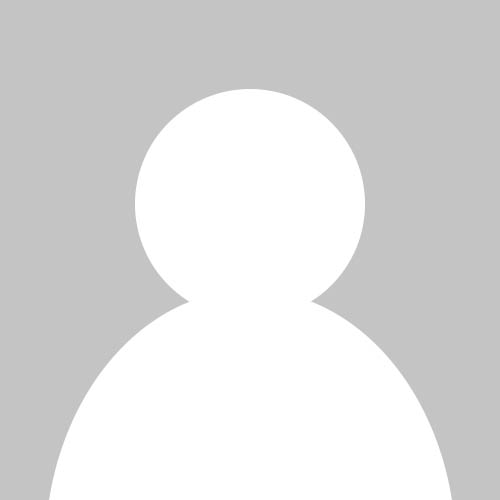 Profile picture for Lisa Paladino